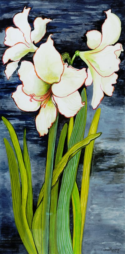 Amarilis contra un cielo nocturno de Joan Thewsey